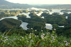 [Photo] Tà Đùng - Phiên bản "Hạ Long" kỳ vĩ giữa rừng Tây Nguyên
