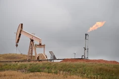 Máy bơm dầu ở Williston, Bắc Dakota, Mỹ ngày 6/9. (Nguồn: AFP/TTXVN)