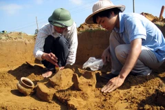 Ảnh minh họa. (Nguồn: Công Tường/TTXVN)