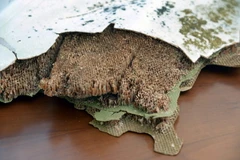 Mảnh vỡ được xác định là của MH370 được tìm thấy ở Mozambique, trong cuộc họp báo ở Maputo, Mozambique ngày 6/9. (Nguồn: EPA/TTXVN)