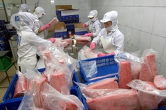 Chế biến cá ngừ xuất khẩu. (Nguồn: TTXVN)