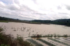 Lũ về trong đêm khiến người dân trở tay không kịp. (Ảnh: Đặng Tuấn/Vietnam+)