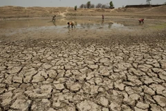 Một cánh đồng khô kiệt do nắng nóng ở Chandampet Mandal, Nalgonda thuộc bang Telangana, miền nam Ấn Độ. (Nguồn: THX/TTXVN)