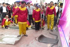 Tiếng pháo nổ vang, cánh pháo văng rộng của một quả pháo đất vừa được ném. (Ảnh: Xuân Tiến/TTXVN)