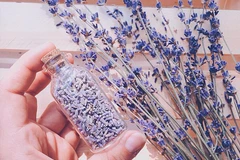 Bốn loài hoa tuyệt đẹp giúp các nàng rạng rỡ hơn bội phần