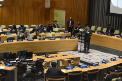 Phó Thủ tướng, Bộ trưởng Ngoại giao Phạm Bình Minh phát biểu tại Phiên họp cấp cao Kỷ niệm 30 năm Tuyên bố Quyền phát triển. (Ảnh: Nguyễn Hữu Hoàng/TTXVN)