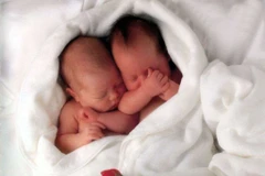 Ảnh minh họa. (Nguồn: pageresource.com)