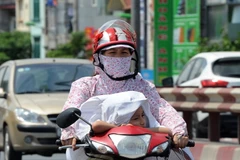 Ảnh minh họa. (Nguồn: Quang Quyết/TTXVN)