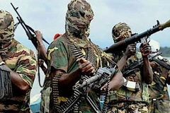 Việt Nam quan ngại về những hành động khủng bố của Boko Haram