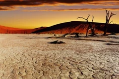 Tiểu bang California của Mỹ ban hành các quy định tiết kiệm nước