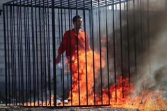 Nga đệ trình nghị quyết ngăn cung cấp tài chính cho nhóm IS 