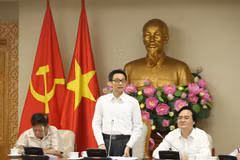 Phó Thủ tướng Vũ Đức Đam phát biểu chỉ đạo. (Ảnh: CTV/Vietnam+)