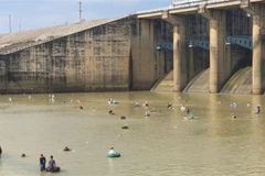 Sau khi Thủy điện Trị An ngừng xả tràn, hàng trăm người đã xuống vùng hạ du cửa xả đánh bắt cá. (Ảnh: Sỹ Tuyên/TTXVN)