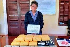 Đối tượng Sùng Văn Di và tang vật 7 bánh heroin, 56.000 nghìn viên ma túy tổng hợp. (Ảnh: TTXVN)