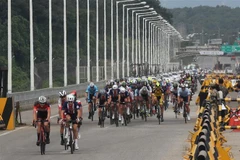 Các vận động viên tham gia đua xe đạp trên Con đường hòa bình tại DMZ ở Paju, phía bắc thủ đô Seoul, Hàn Quốc. (Ảnh: Yonhap/TTXVN)