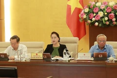 Chủ tịch Quốc hội Nguyễn Thị Kim Ngân phát biểu về dự án Luật Hòa giải, đối thoại tại Tòa án. (Ảnh: Lâm Khánh/TTXVN)