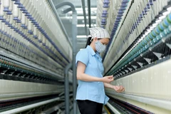 Standard Chartered cũng hạ dự báo lạm phát tại Việt Nam năm 2024 từ 5,5% xuống 4,3%. (Ảnh: Vietnam+)