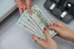 Giá USD tại các ngân hàng tăng mạnh chiều ngay 11/4, cao nhất từ trước đến nay. (Ảnh: Vietnam+)