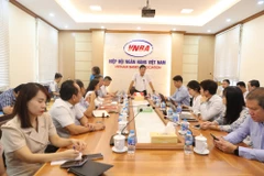 Quang cảnh cuôc họp. (Ảnh: Vietnam+)