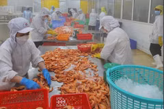 Chuyên gia UOB nhận định triển vọng phía trước của Việt Nam vẫn tích cực nhưng cần thận trọng hơn. (Ảnh: Vietnam+)