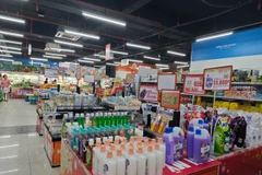 Việt Nam sẵn sàng tăng trưởng mạnh mẽ trong 6 tháng cuối năm. (Ảnh: Vietnam+)