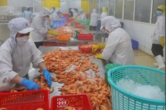 Standard Chartered nâng mức dự báo tăng trưởng GDP của Việt Nam lên 6,8%. (Ảnh: Vietnam+)