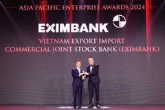Ông Đào Hồng Châu - Phó Tổng Giám đốc Eximbank nhận giải thưởng từ Ban tổ chức. (Ảnh: Vietnam+)