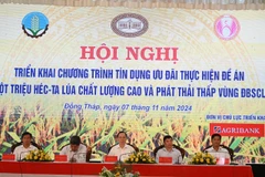 Các đại biểu tham dự tại hội nghị. (Ảnh: Vietnam+)