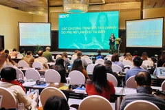 Toàn cảnh Hội thảo công bố Sách trắng. (Ảnh: PV/Vietnam+)