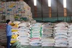 UOB duy trì dự báo tăng trưởng của Việt Nam ở mức 6,0% cho năm 2024. (Ảnh: PV/Vietnam+)