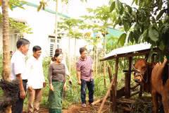 Các đại biểu đều cho rằng cần mở rộng đối tượng vay vốn nhằm hỗ trợ tạo việc làm. (Ảnh: Nguyên Dung/TTXVN)