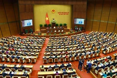 Quốc hội thảo luận về giảm thuế giá trị gia tăng và họp công tác nhân sự. (Ảnh: TTXVN)