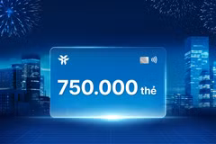 VIB đạt mốc 750.000 thẻ vào tháng 6/2024. (Ảnh: Vietnam+)