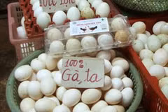 (Ảnh minh họa)