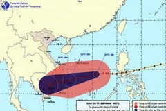 Đường đi của bão số 11. (Ảnh: nchmf.gov.vn)