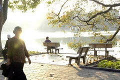 (Ảnh minh họa: Giadinh.net.vn)