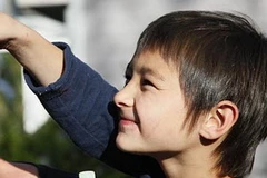 Cậu bé Falcon Heene.