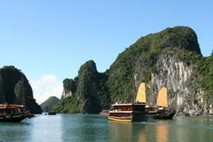 Nhiều hoạt động bầu chọn cho Vịnh Hạ Long