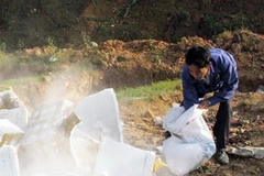 Tiêu hủy nội tạng động vật. (Ảnh: Lục Văn Toán/Vietnam+)