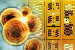 Thiết bị nhận dạng khuẩn tụ cầu kháng thuốc