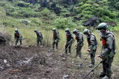 Ảnh minh họa. (Nguồn: THX/TTXVN)