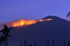 Cảnh cháy rừng ở Java. (Nguồn: AFP)