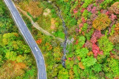 Nhiều khách tham quan sẽ phải ngỡ ngàng trước cảnh tượng mùa Thu trên núi Quinling ở Hán Trung, Thiểm Tây, Trung Quốc.