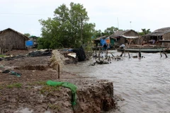 Ảnh minh họa. (Ảnh: Huỳnh Thế Anh/TTXVN)