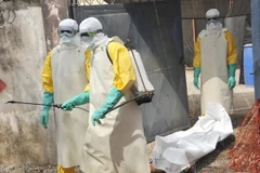 Nhân viên Chữ thập đỏ Guinea chuyển thi thể một bệnh nhân Ebola tại bệnh viện Donka ở thủ đô Conakry. (Nguồn: AFP/TTXVN) 