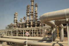 Ảnh minh họa. (Nguồn: diasporaconnex.com)