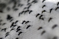 Ảnh minh họa. (Nguồn: bloomberg.com)