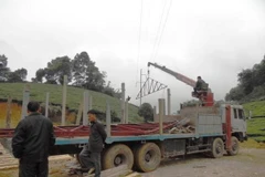 Hà Nội: Liên tiếp các vụ xe cẩu vi phạm hành lang lưới điện