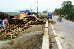 Cần xử lý dứt điểm tình trạng vi phạm an toàn đê điều ở Hà Nội