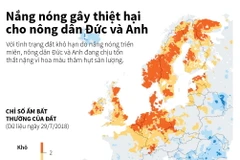 [Infographics] Nắng nóng gây thiệt hại cho nông dân Đức và Anh